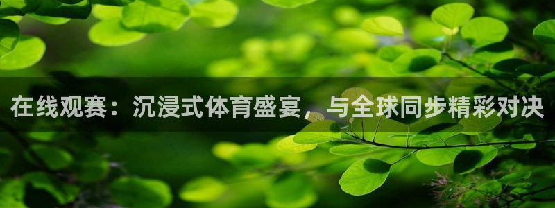 火凤直播nba：在线观赛：沉浸式体育盛宴，与全球同步精彩对决