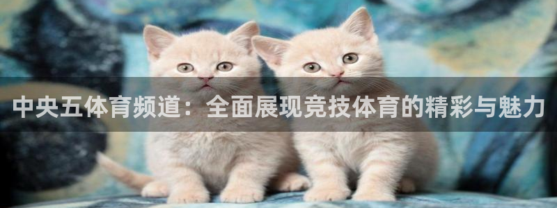 火凤直播体育免费直播：中央五体育频道：全面展现竞技体育的精彩与魅力