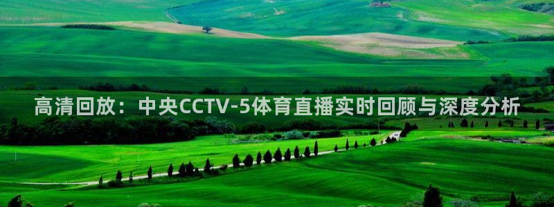 火凤体育免费直播入口：高清回放：中央CCTV-5体育直播实时回顾与深度分析